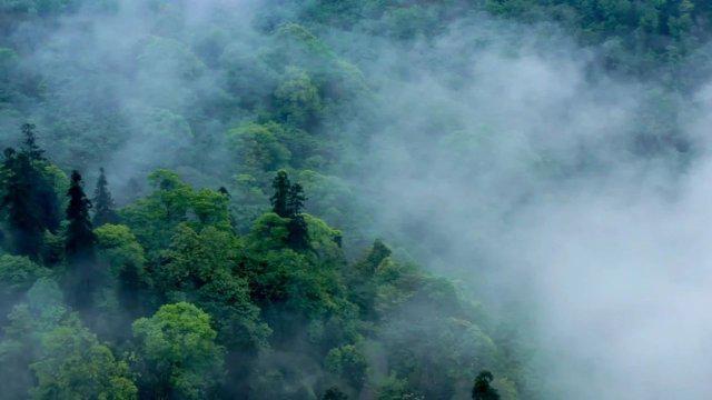 广东沿海遭遇严重海水倒灌事件：车辆淹没下的城海斗争